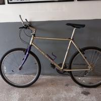 Bicicletta mountain bike