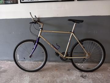 Bicicletta mountain bike