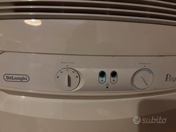 Pinguino de longhi