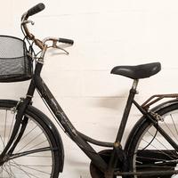 bicicletta con cestino 