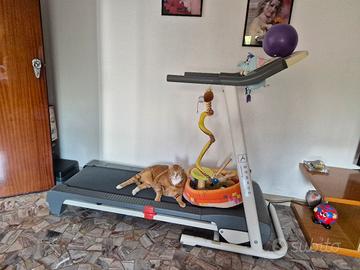 tapis roulant elettrico