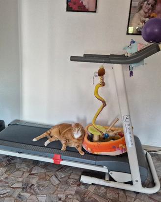 tapis roulant elettrico