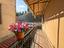 Immagine 18