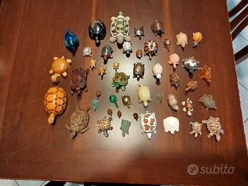 Collezione tartarughe