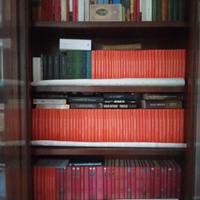 Romanzi Salgari e Verne