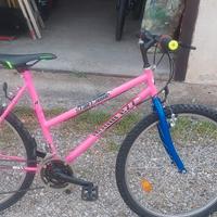 bicicletta mountain bike