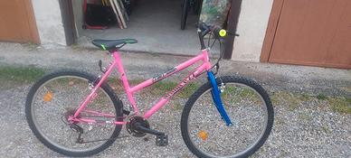 bicicletta mountain bike