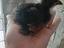 Immagine 5