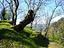 Immagine 11