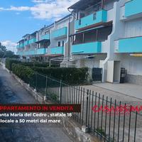 Santa Maria del Cedro a 50 metri dal mare