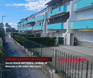 Santa Maria del Cedro a 50 metri dal mare