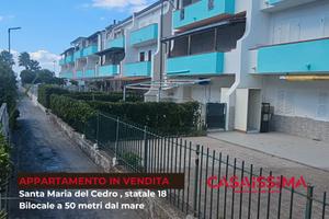 Santa Maria del Cedro a 50 metri dal mare