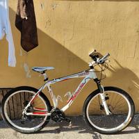 bici bottecchia 