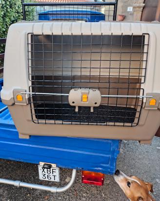 trasportino per cani media taglia