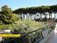 Immagine 10