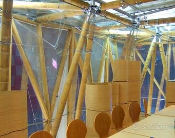 Canne di bambù bambu diametri da 1 a 10 cm