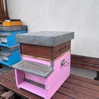 Arnia Dadant completa + apiscampo e nutritore