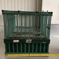 Gabbie uccelli canori