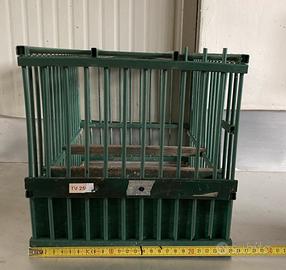 Gabbie uccelli canori