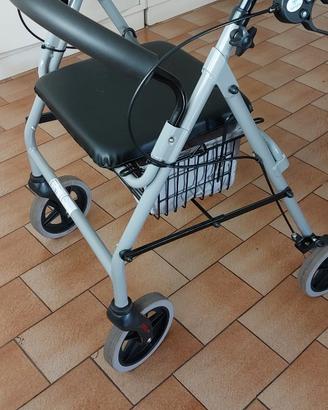 Deambulatore da esterno