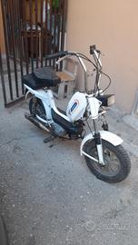 mini moto