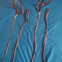 Guinzagli e pettorine