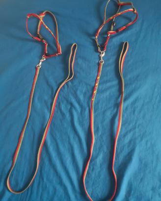 Guinzagli e pettorine