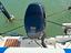 Immagine 10