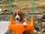 Immagine 4