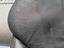 Immagine 22