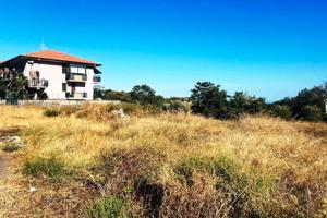 Terreno agricolo 2000 mq pianeggiante