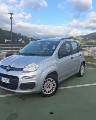 FIAT PANDA 1.2 NEOPATENTATI