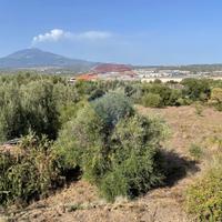 Terreno Edificabile - Belpasso