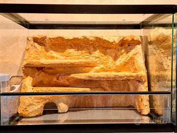 Terraio / Teca rettili, geco 