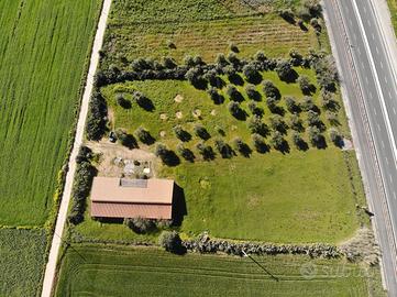 Monastir. Capannone ingresso SS 131