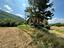 Immagine 20