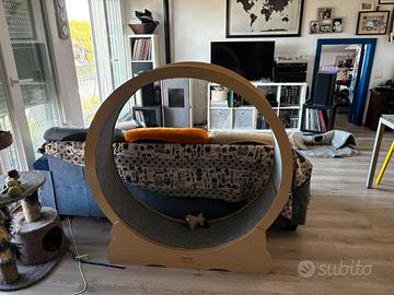 Ruota per gatti
