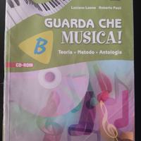 Guarda che musica B