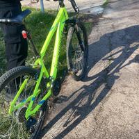 Bici letta mtb