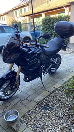 Triumph Tiger 1050 anno 2007 km 17800