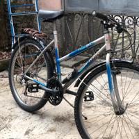 Bici uomo