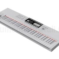 NI LIMITED EDITION !Komplete Kontrol S61 MK2