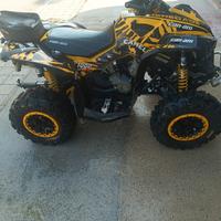Can Am renegade 1000 xxc