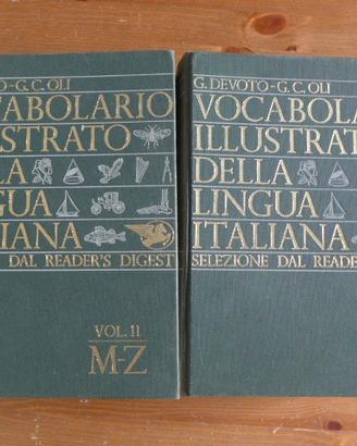 Vocabolario Devoto Oli, Illustrato