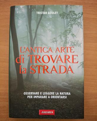 L'antica arte di trovare la strada - Tristan Goole