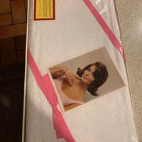 TESSUTO BROCCATO FIORENTINO