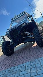Rzr 1000