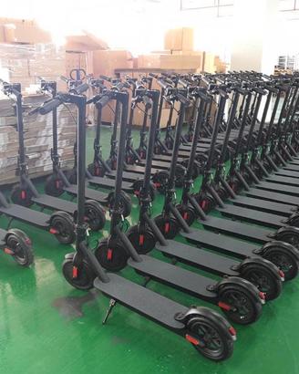 MONOPATTINO ELETTRICO 350 WATT CON GARANZIA 2 ANNI