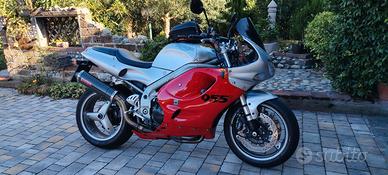 Scarico GPR CARBONIO Triumph Daytona 