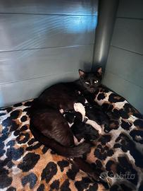 Iris e I suoi piccoli